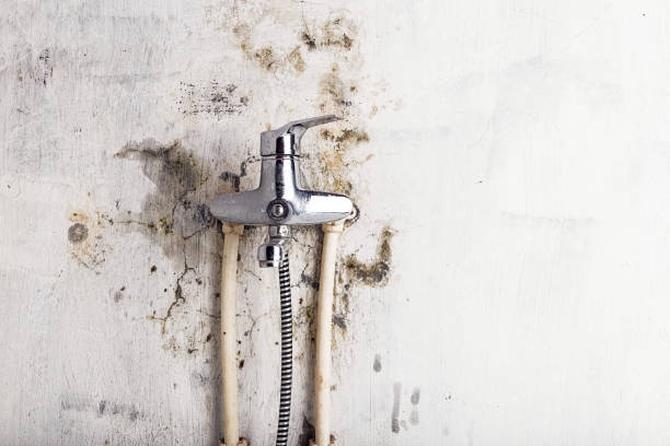 Trusted Vinita, OK Mold Removal Experts