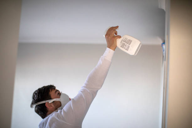 Best Home Mold Removal  in Vinita, OK
