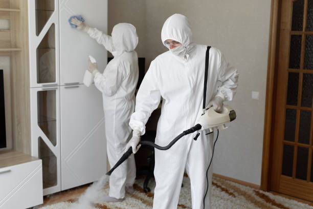 Mold Testing and Removal in Vinita, OK